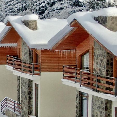 Villa Mtashi Bakuriani Zewnętrze zdjęcie