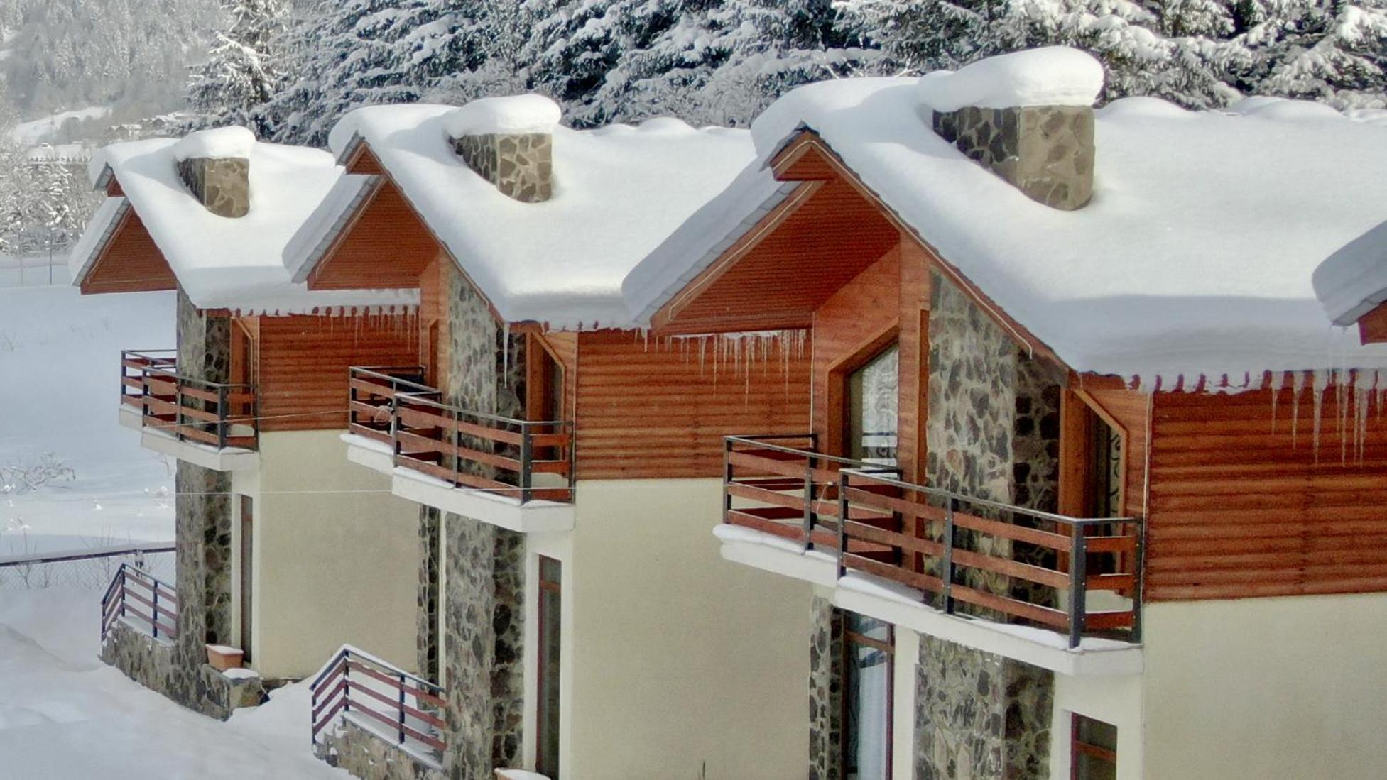 Villa Mtashi Bakuriani Zewnętrze zdjęcie