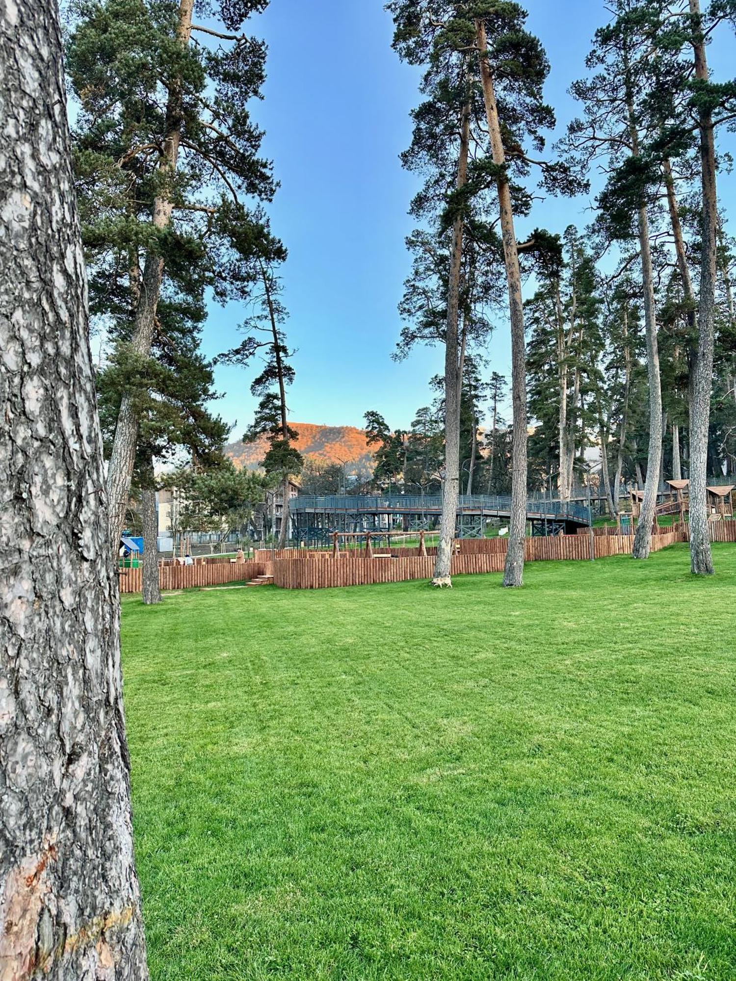 Villa Mtashi Bakuriani Zewnętrze zdjęcie