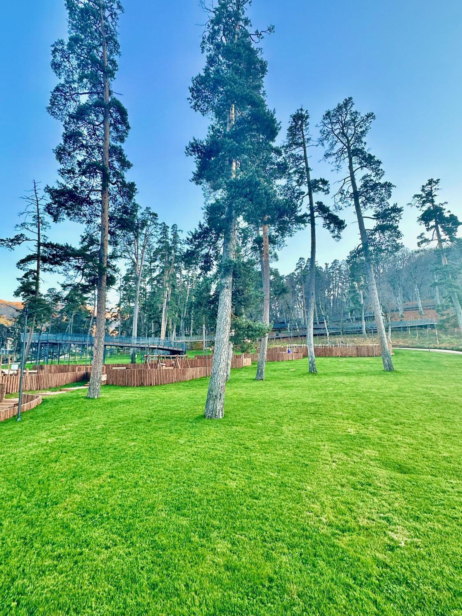 Villa Mtashi Bakuriani Zewnętrze zdjęcie