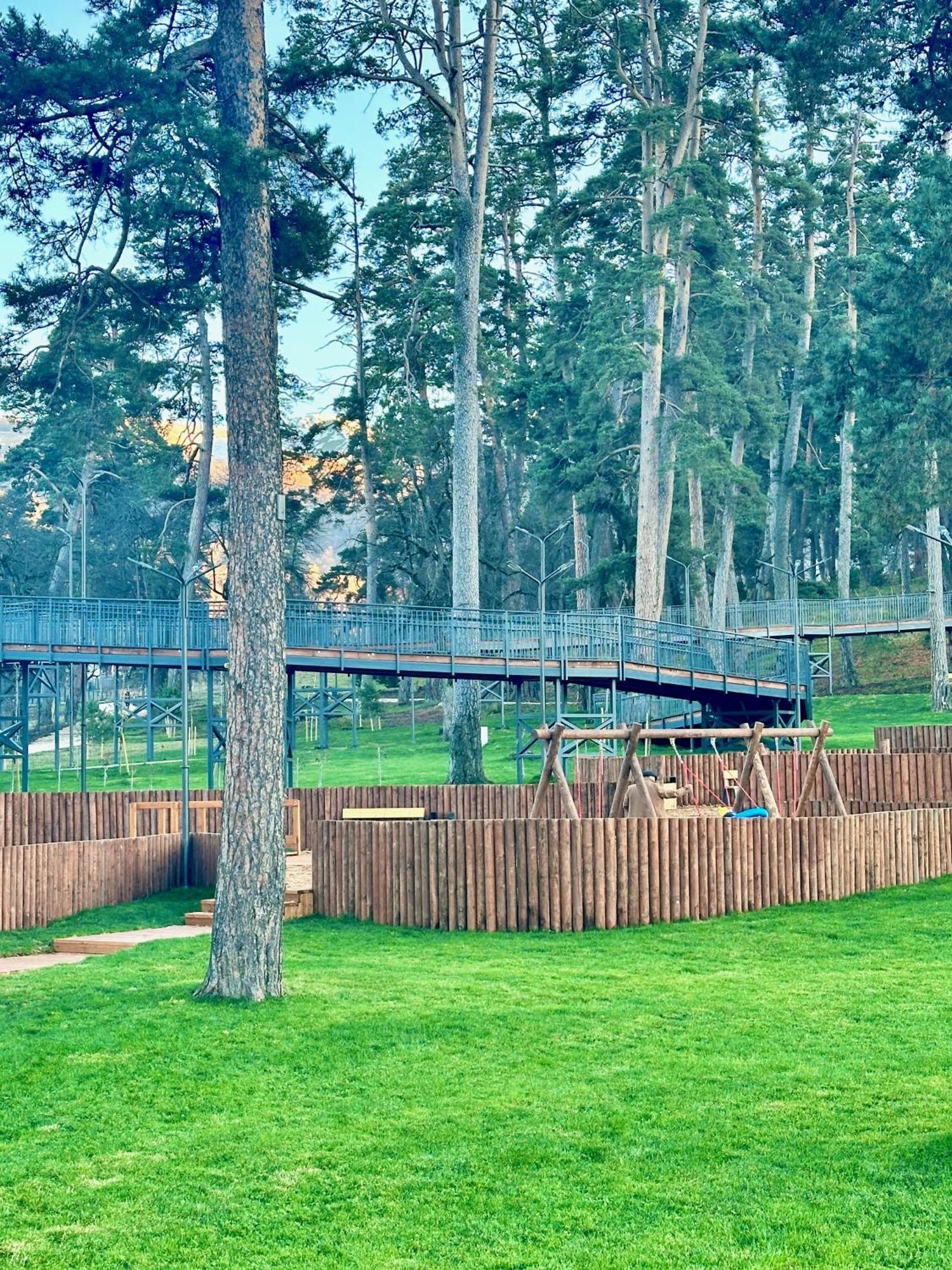 Villa Mtashi Bakuriani Zewnętrze zdjęcie