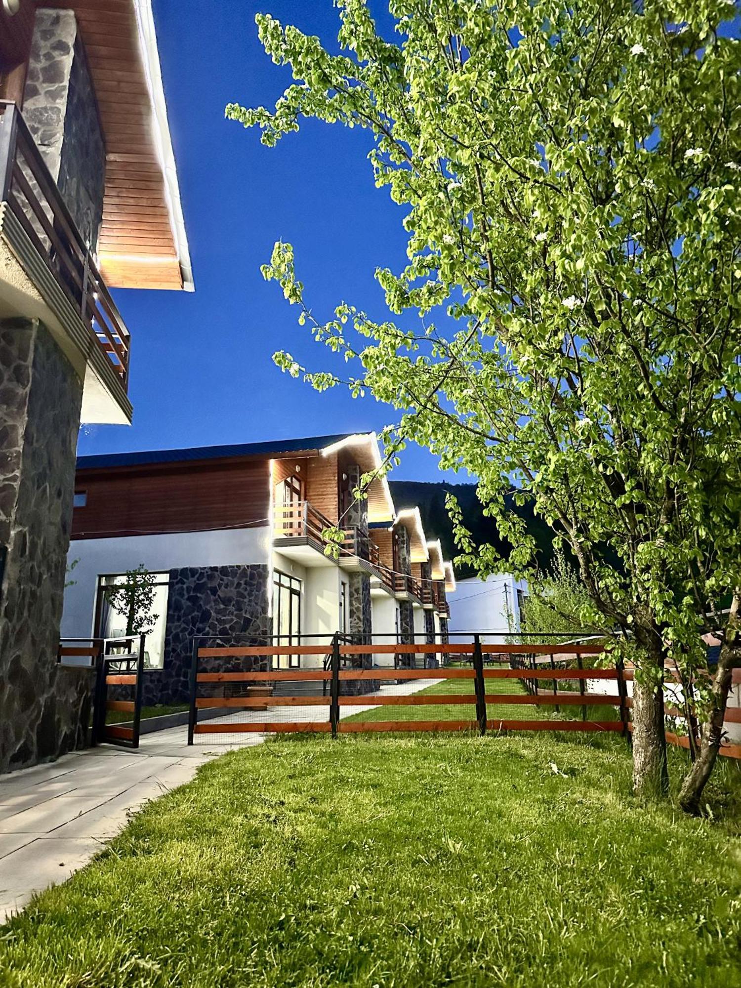 Villa Mtashi Bakuriani Zewnętrze zdjęcie