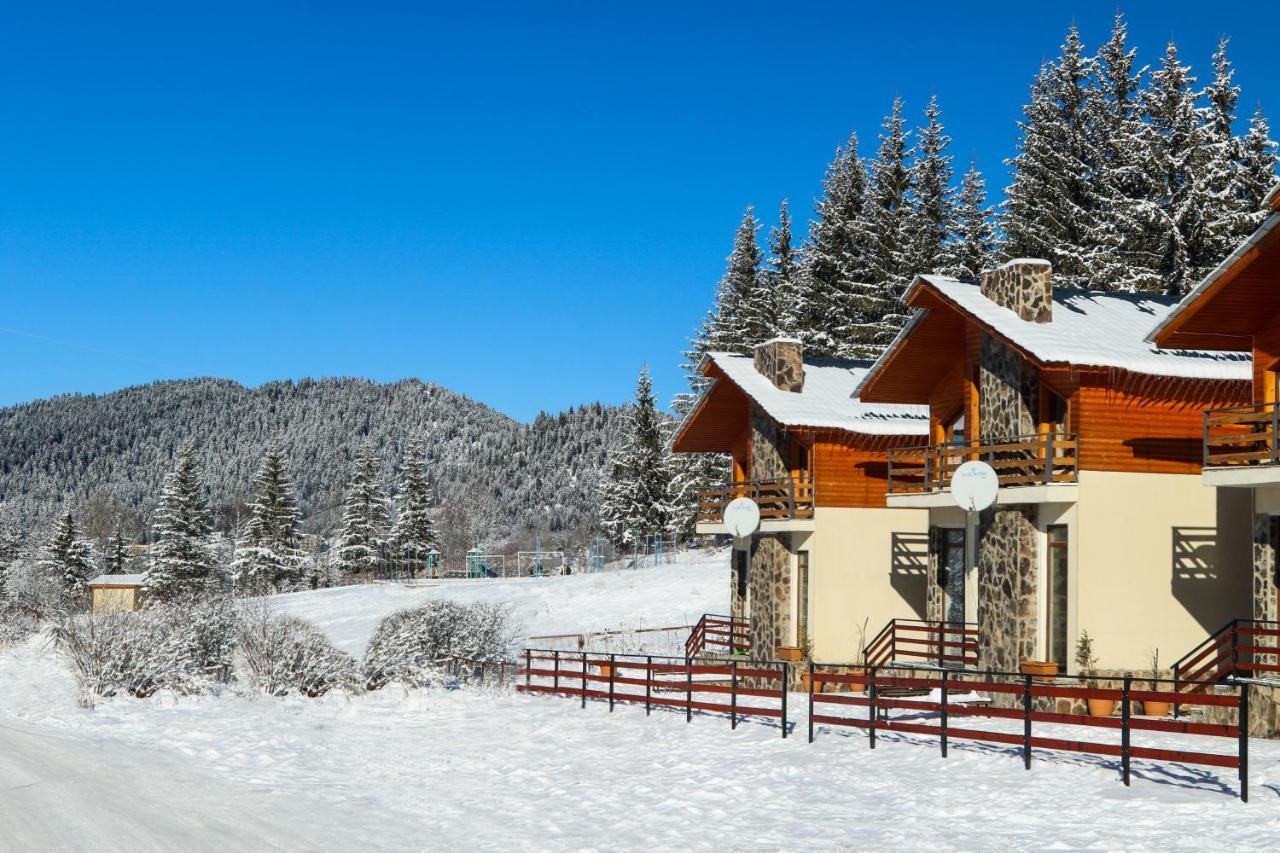 Villa Mtashi Bakuriani Zewnętrze zdjęcie